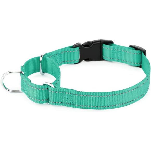 Martingale Reflective Dog Collar Adjustable Safety Nylon For Medium Dogs- Teal - Picture 1 of 5